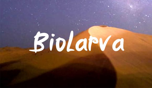 Biolarfa: A Beautiful Typeface for Business Branding