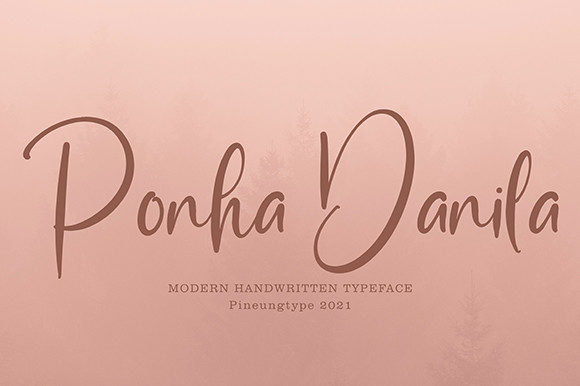 Ponha Danila Font for Web Design
