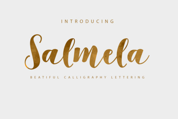 Salmela Font Review: A Versatile Script for Creative Branding