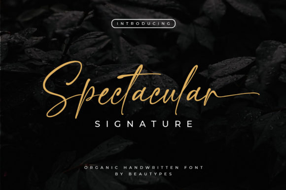 Spectacular Signature: A Handwritten Typeface for Craft and Commerce